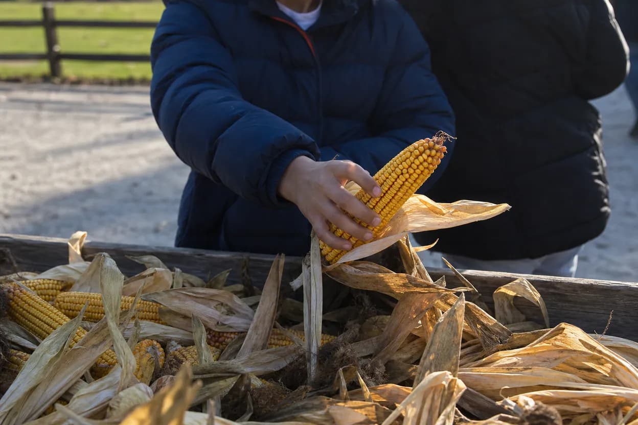 Editorial detail for Queens County Farm Museum Farmstand Morning: A Low-Lift Weekend Plan for Fresh Produce and Shade
