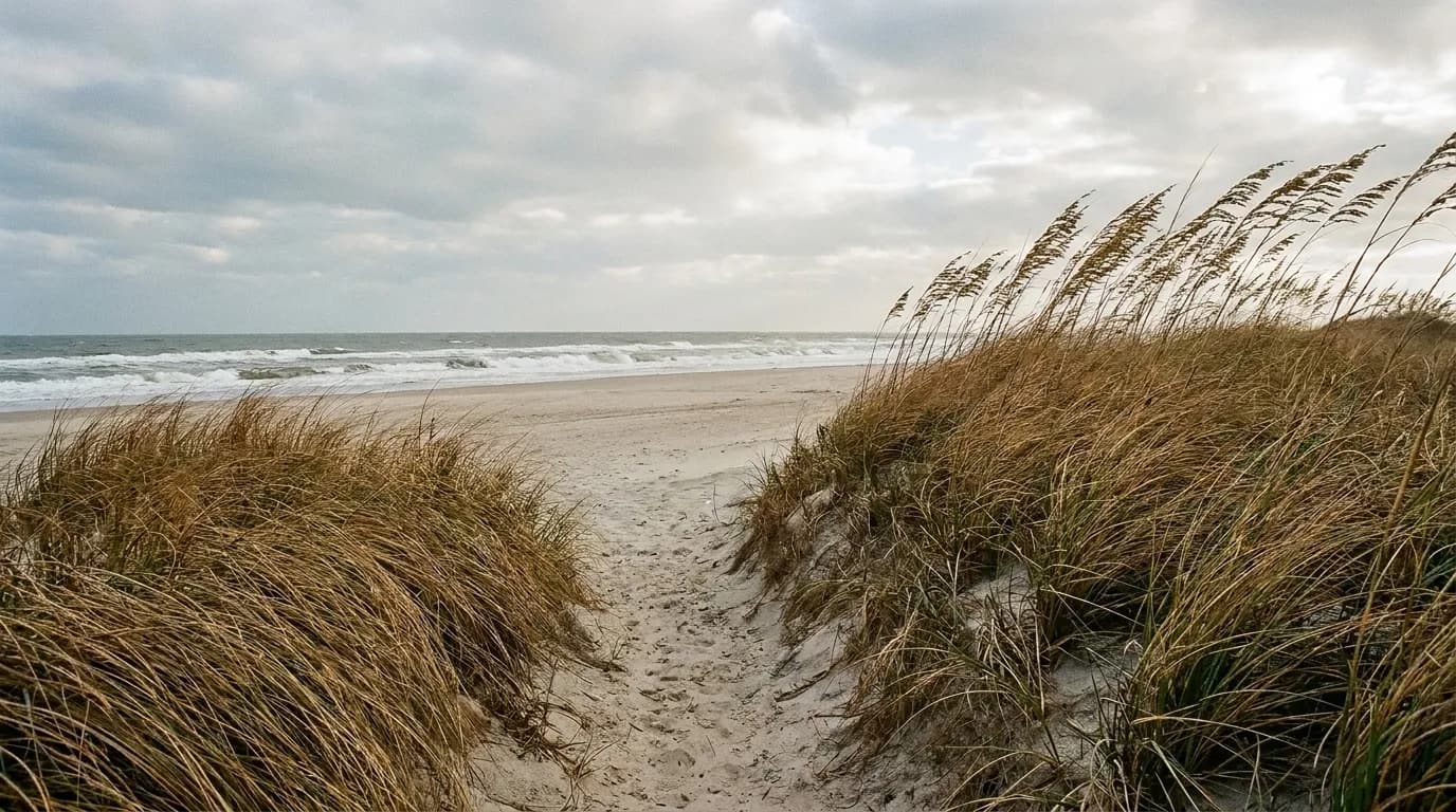 An empty Atlantic beach backed by high grassy dunes with a narrow sand path cutting through them, no buildings or people in the frame