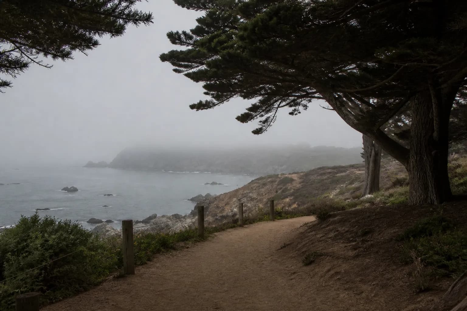 Fog drifts over a cliffside trail above the Pacific near Lands End.