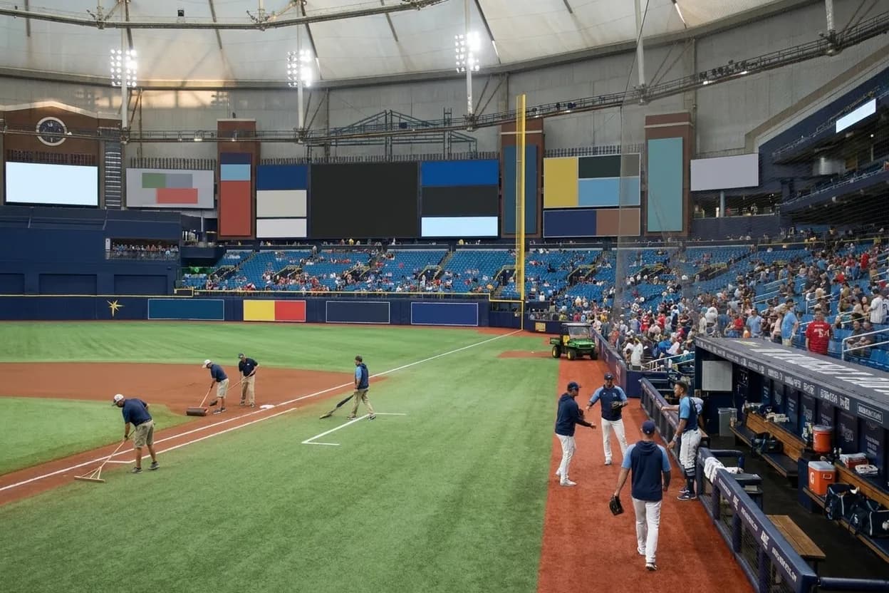 Cover scene for Rays vs Blue Jays: AL East Battle for Division Supremacy