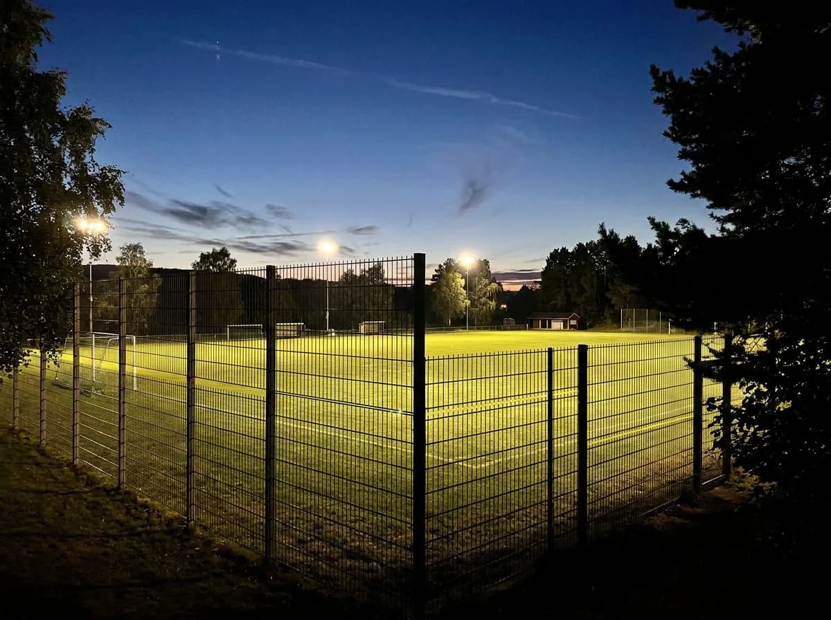 The 6 A.M. Vigil: Watching Portugal Train at Gardens North County District Park