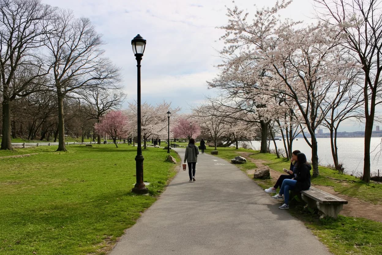 NYC experience scene for Sakura Park Shade Loop When Columbia-Area Plans Run Too Hot