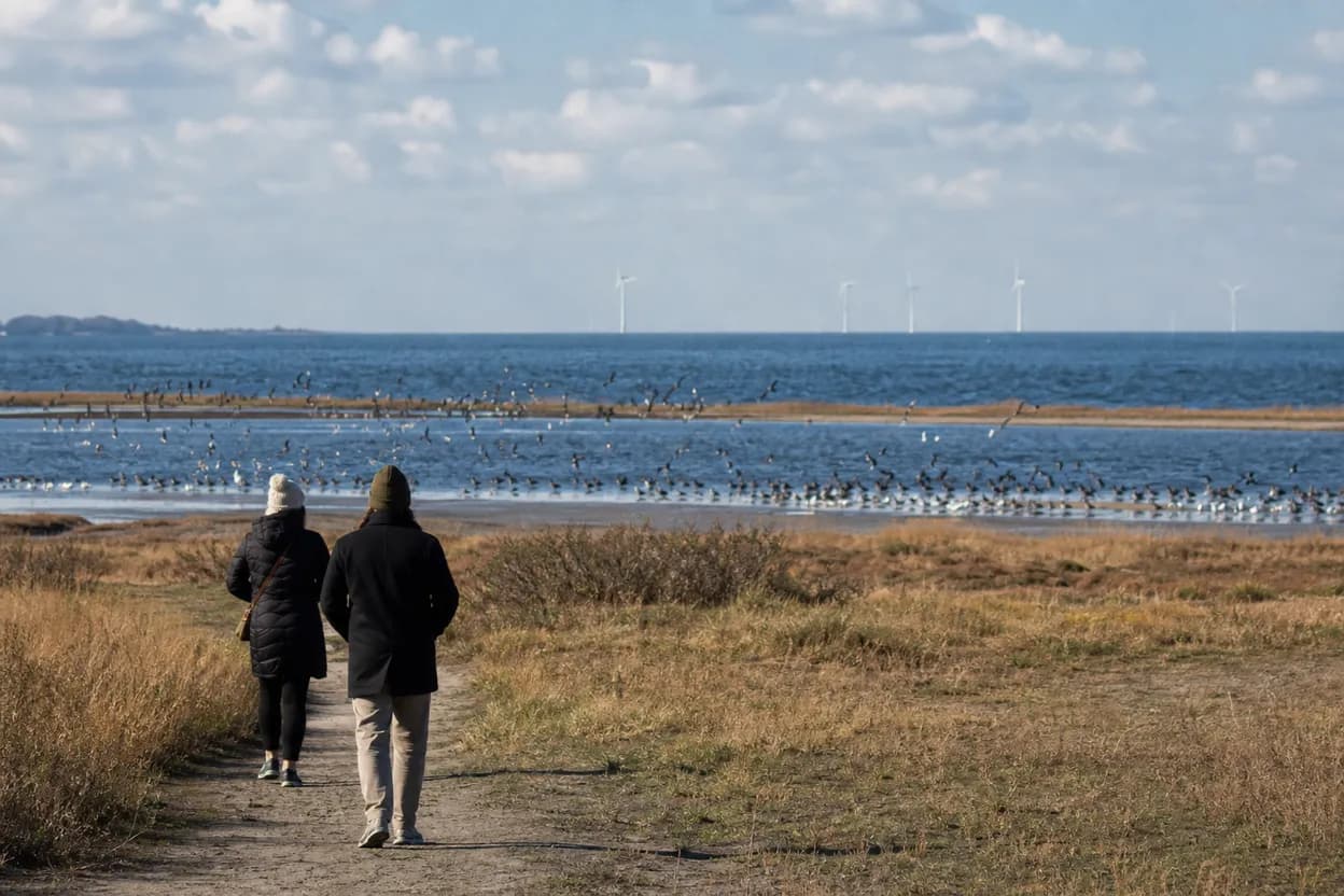Cover scene for Salt Marsh Nature Center: A Flat Brooklyn Bird Walk for Wheel Users