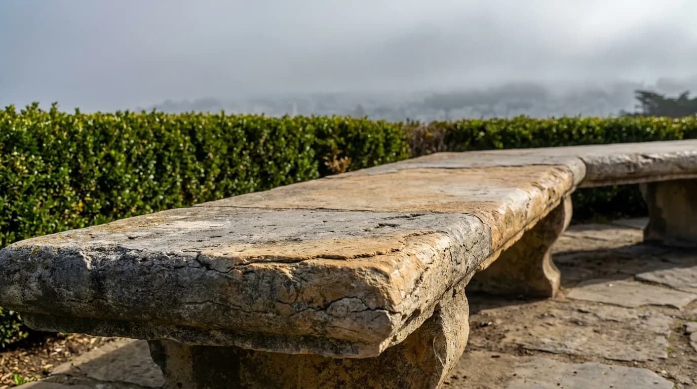 Stone terrace bench at Alta Plaza Park overlooking San Francisco with fog in the distance