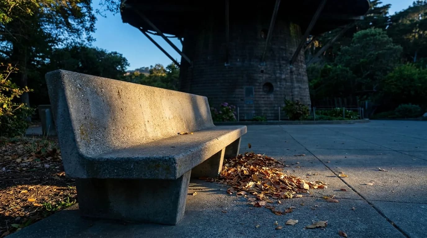 Concrete bench at Peace Plaza in Japantown with low dusk light and windblown leaves