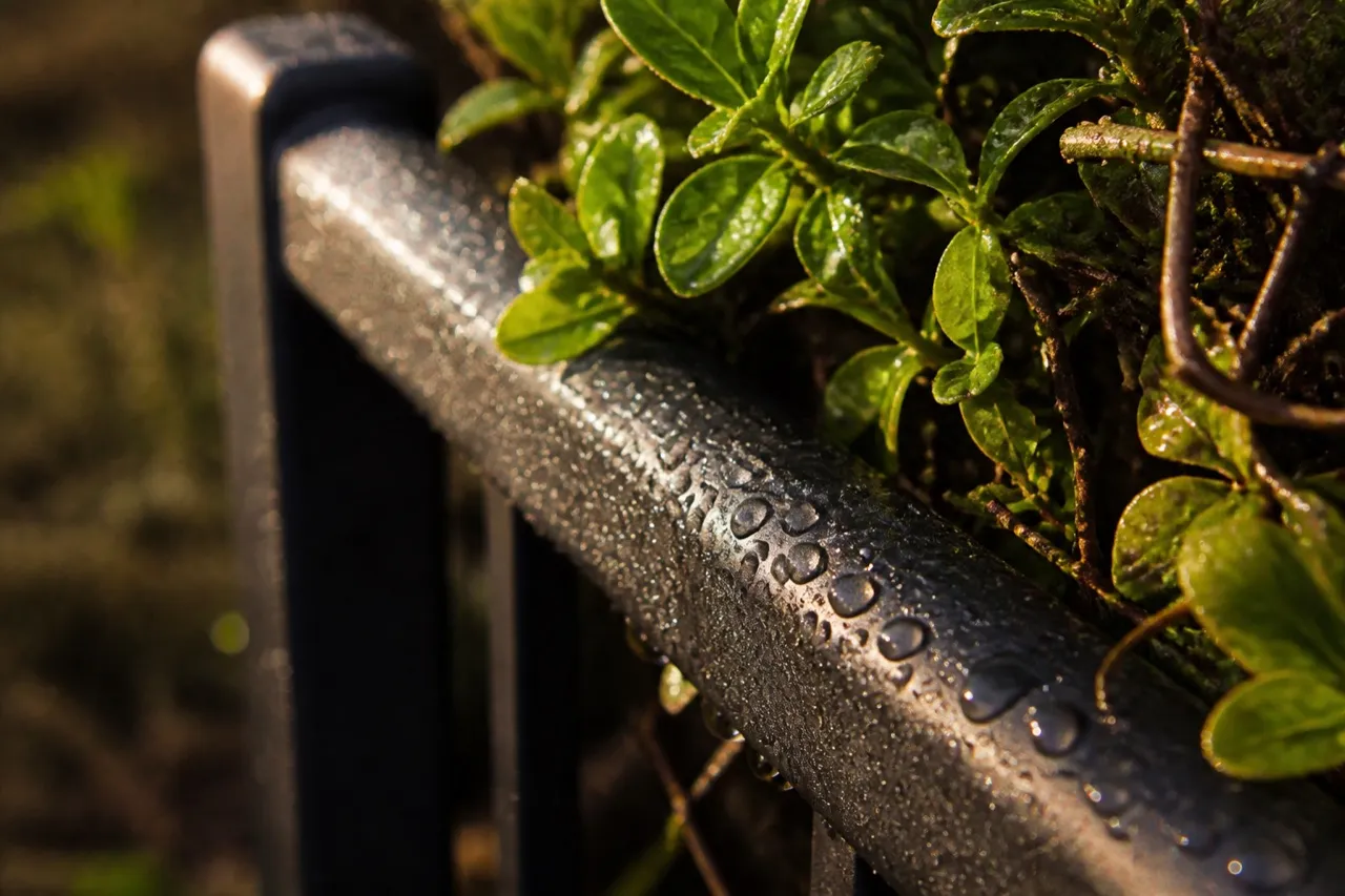 Weather-worn bench rail and thermos on a San Francisco overlook