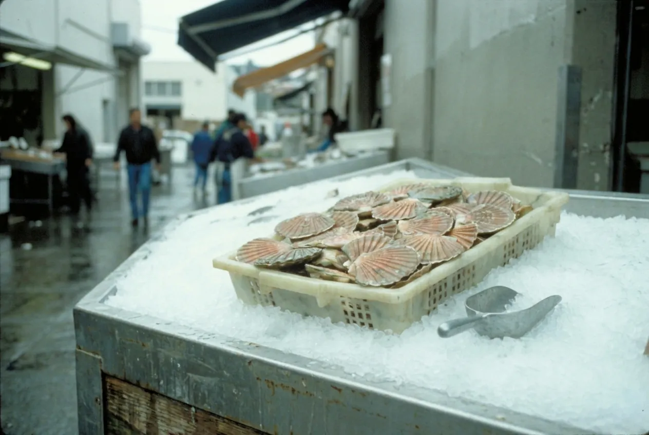 A tray of shellfish on ice at a market counter with a scoop resting in it
