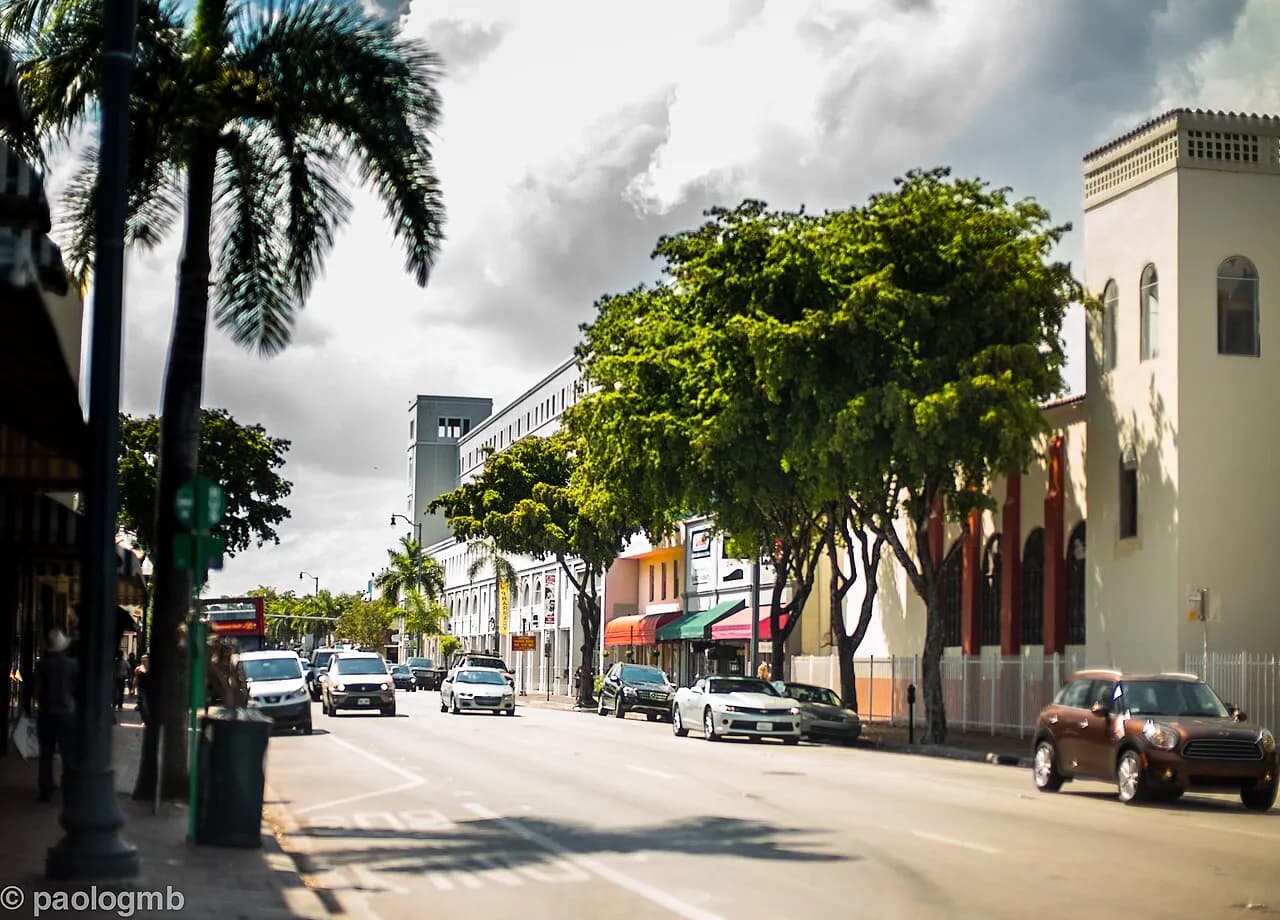 Real reference photograph for IKEA Alternatives Near Coconut Grove for Small-Space Furniture in Miami.