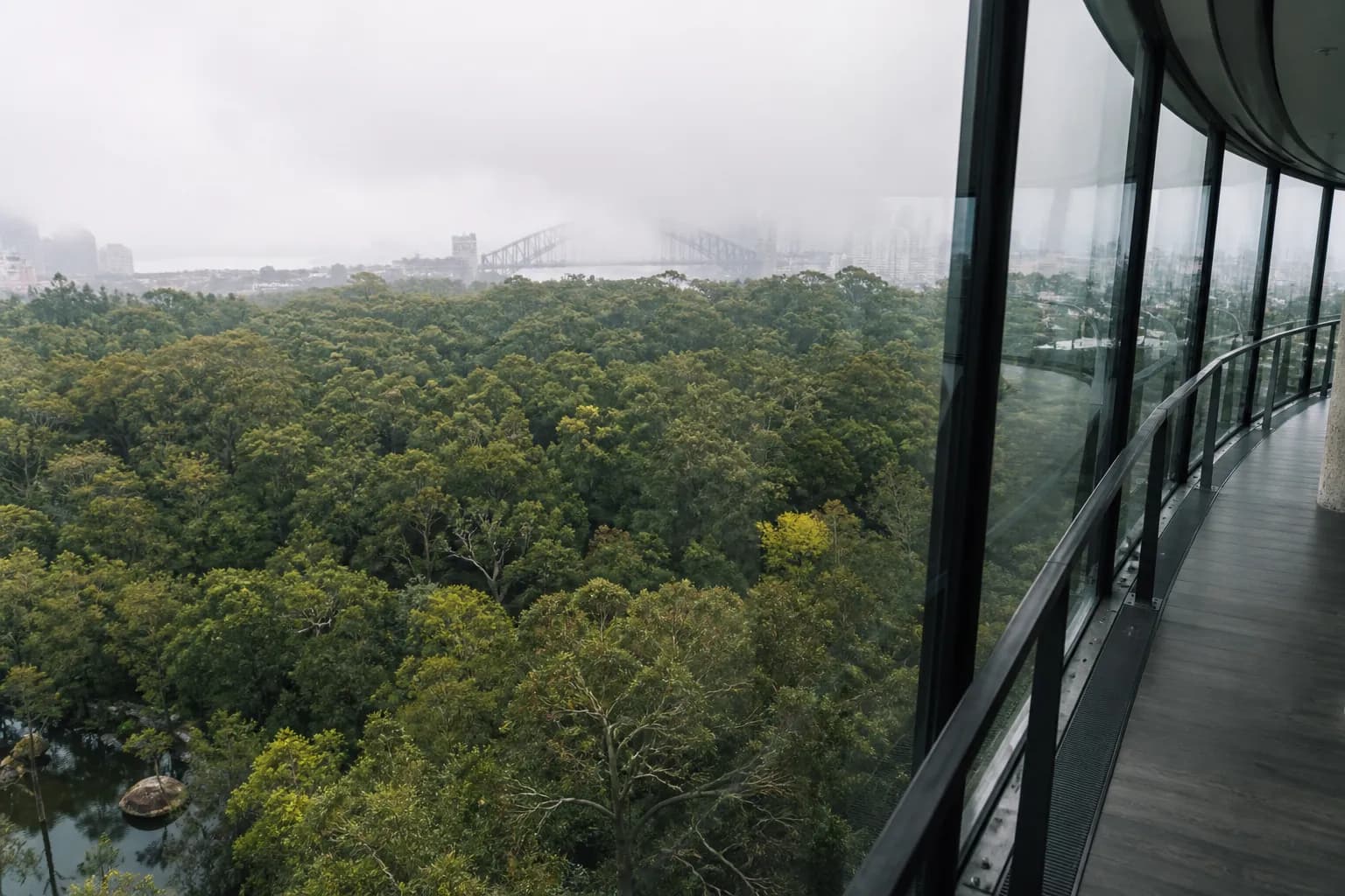 The view from the de Young Harmon Observation Tower looking out over the green trees of Golden Gate Park.