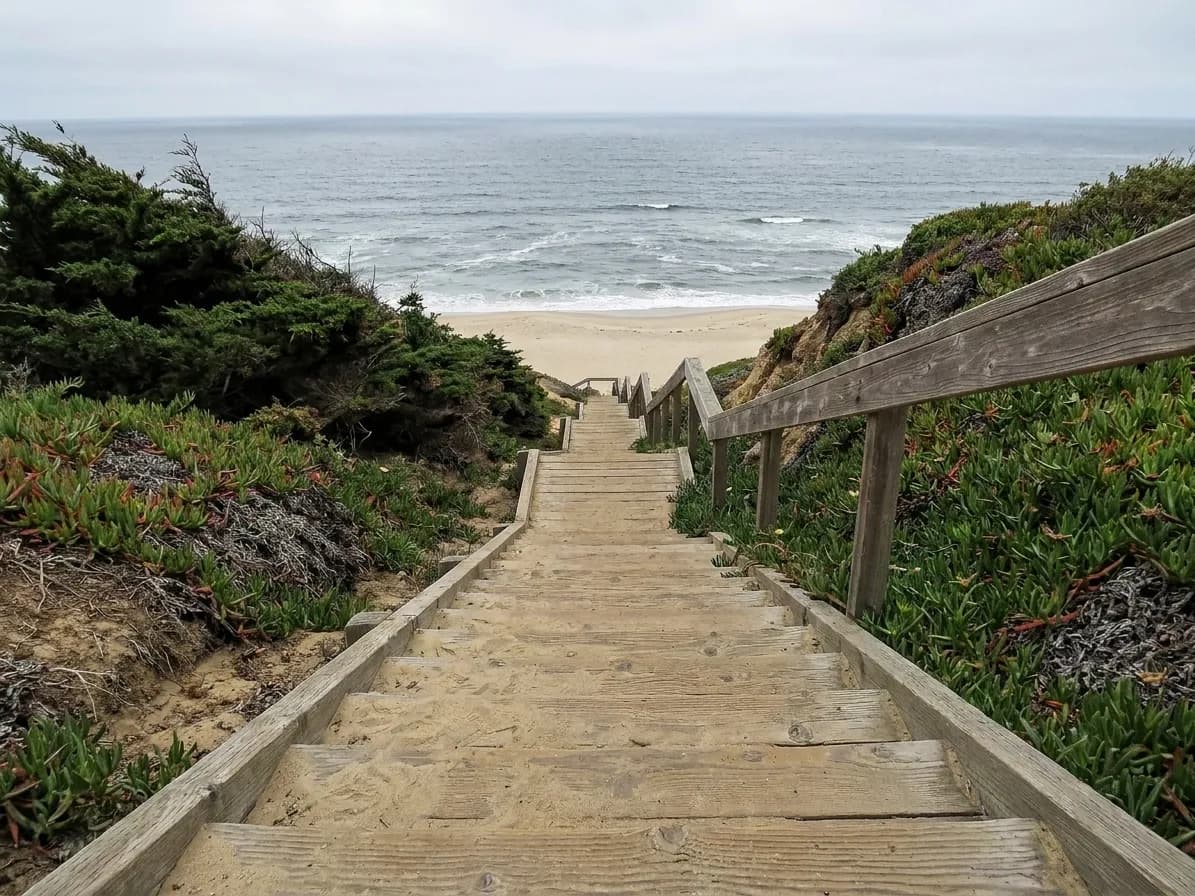 A weathered wooden stairway descending between ice plant and cypress scrub to a pale San Francisco beach, with sand drifted across the treads and a grey Pacific beyond under flat silver light