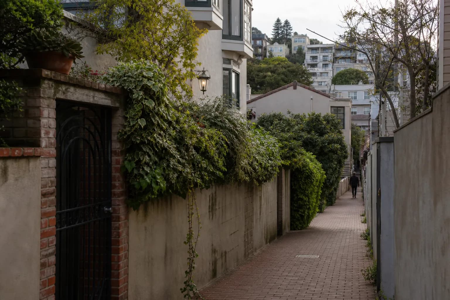Narrow San Francisco alley with gardens and late light between hillside homes