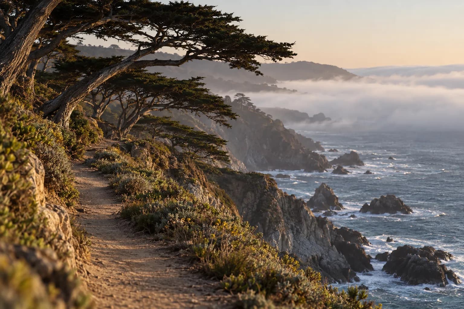 A cliffside coastal trail with cypress trees above the Pacific