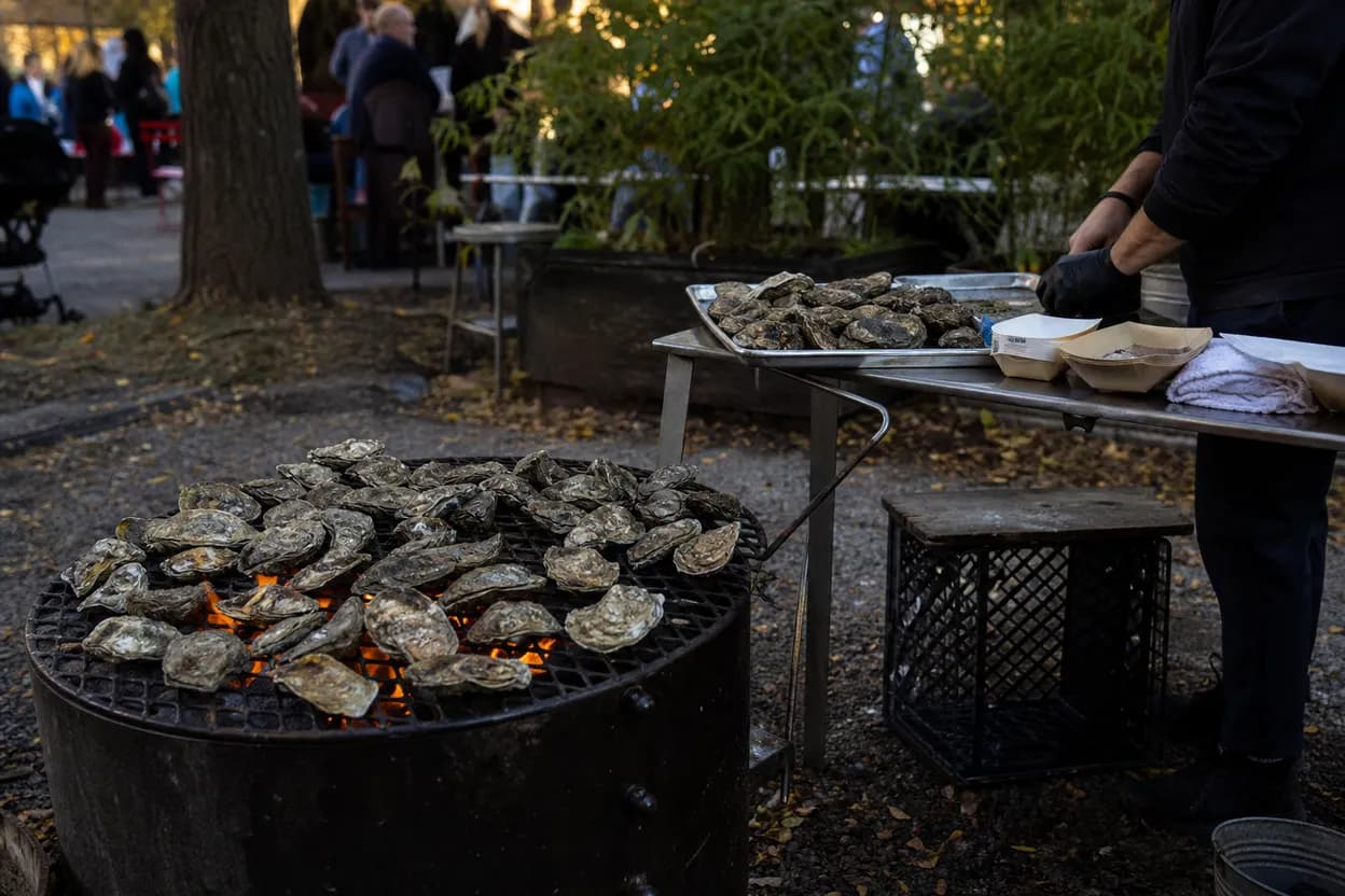 Editorial detail for Socrates Sculpture Park at Golden Hour: A Free Queens Art Walk Before Dinner
