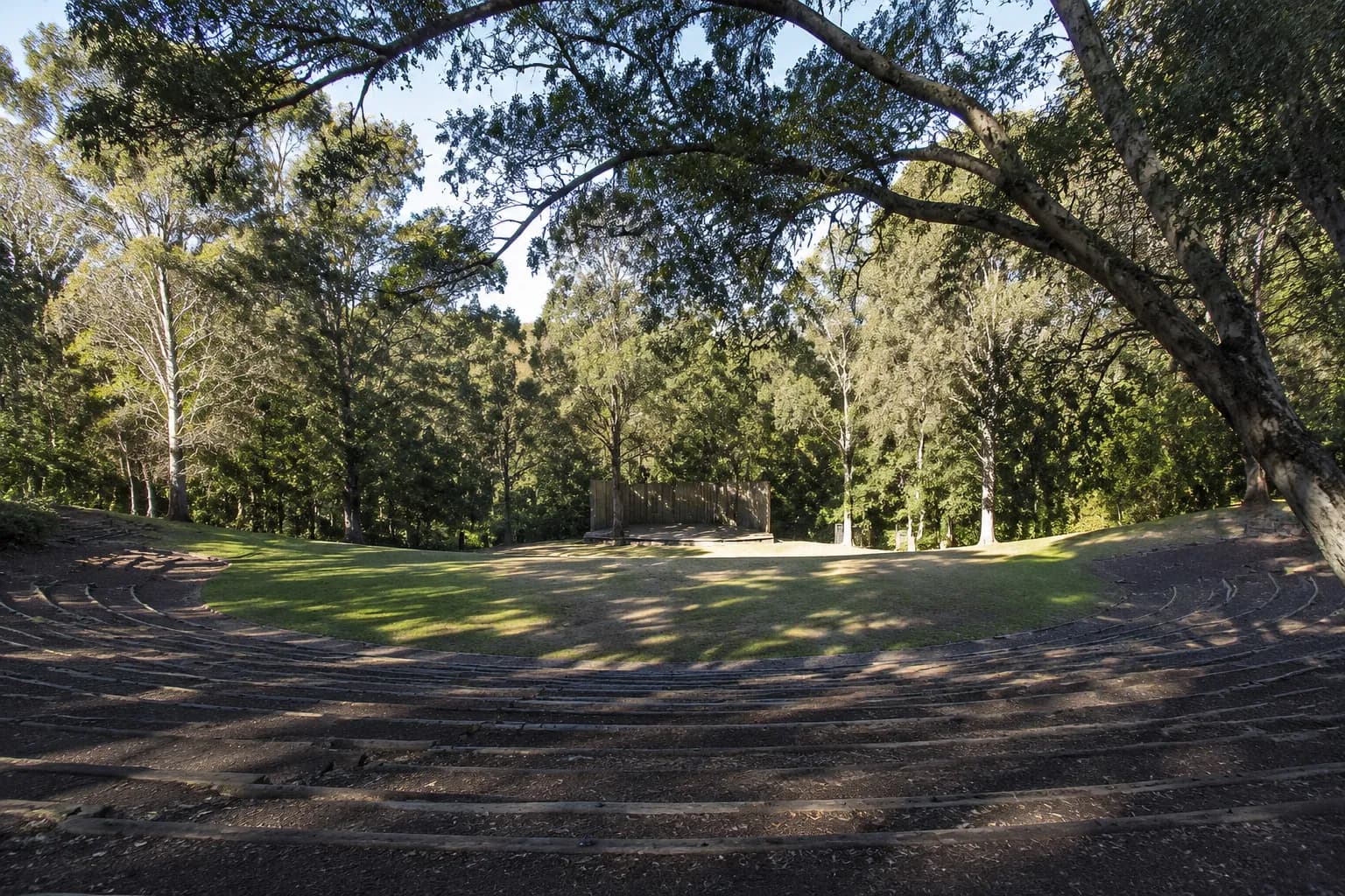 Stern Grove's natural amphitheater surrounded by eucalyptus trees in afternoon light, San Francisco