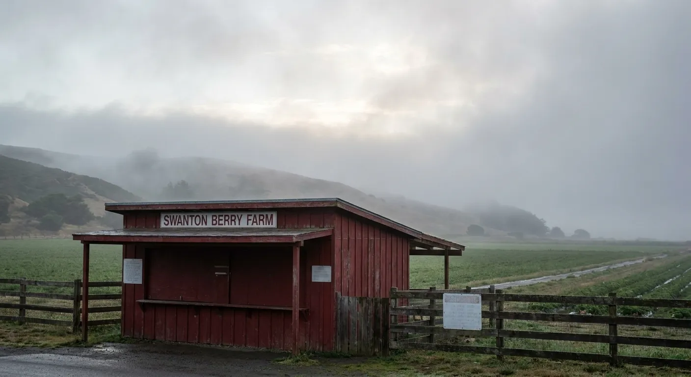 Swanton Berry Farm's red farm stand building with coastal hills in the background under overcast skies