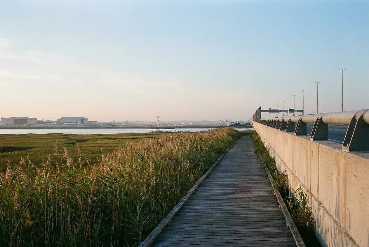 The 7am AirTrain to Howard Beach marshland loop nobody takes for the view
