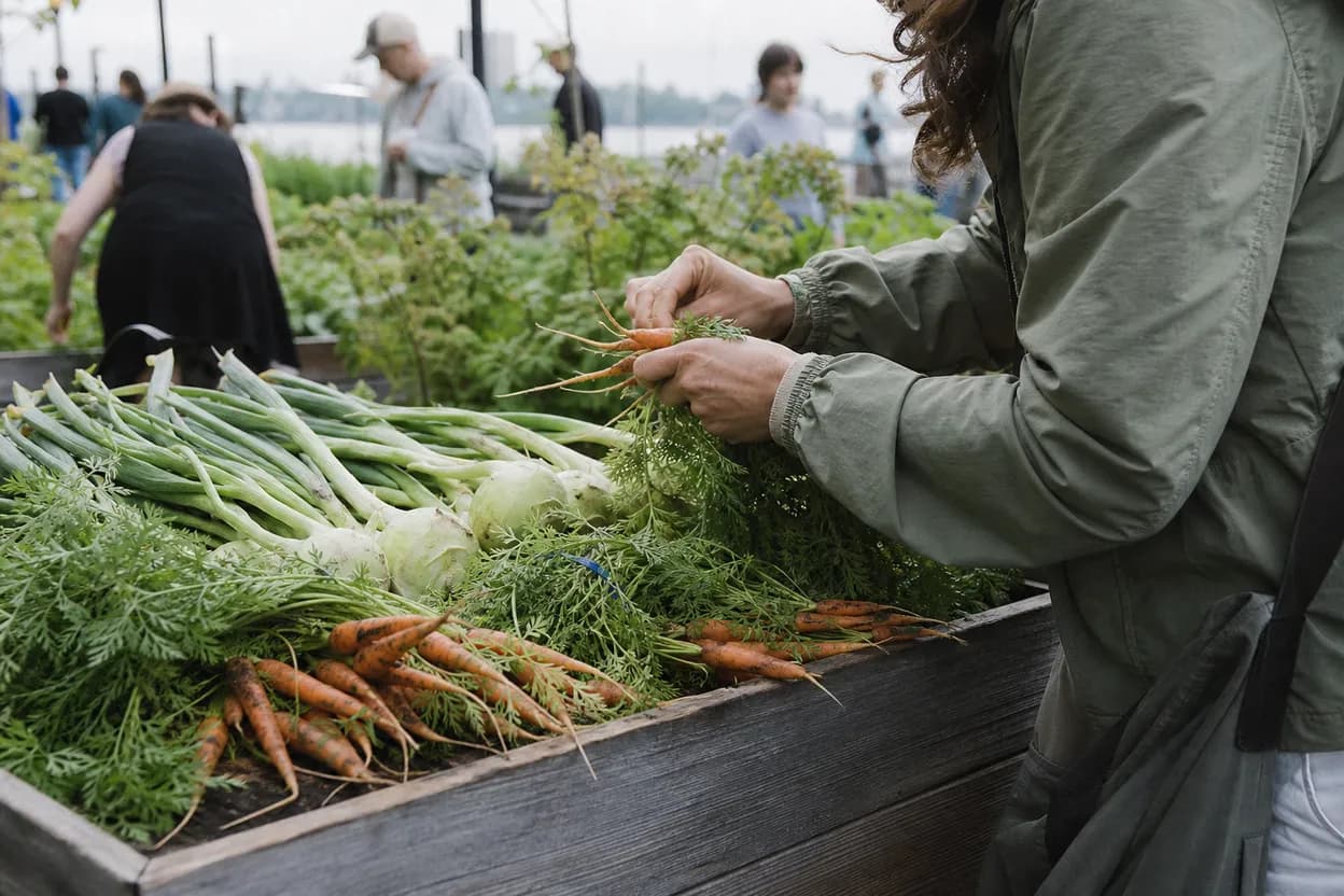 Editorial detail for The Battery Urban Farm Open Hours: A Free Downtown Nature Stop With Kids