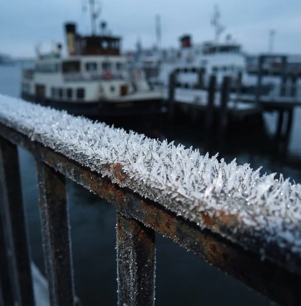 The Battery's Waterfront Promenade on a Clear Winter Morning