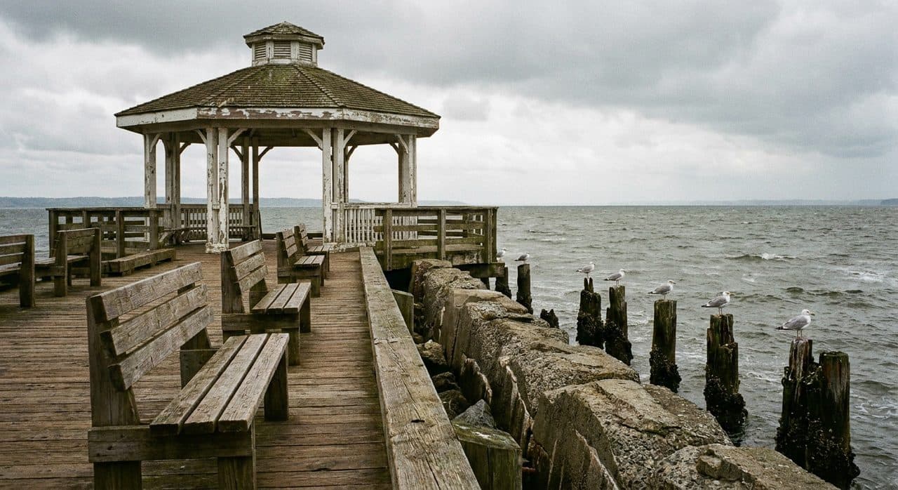 The Boardwalk Pavilion Where Mariners vs Tigers Plays on a Borrowed Projector - cover image