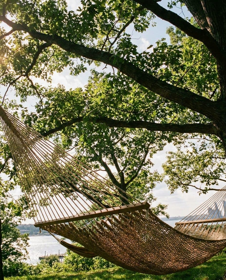 The Free Ferry to Governors Island and an Hour in the Hammock Grove Facing the Harbor - scene