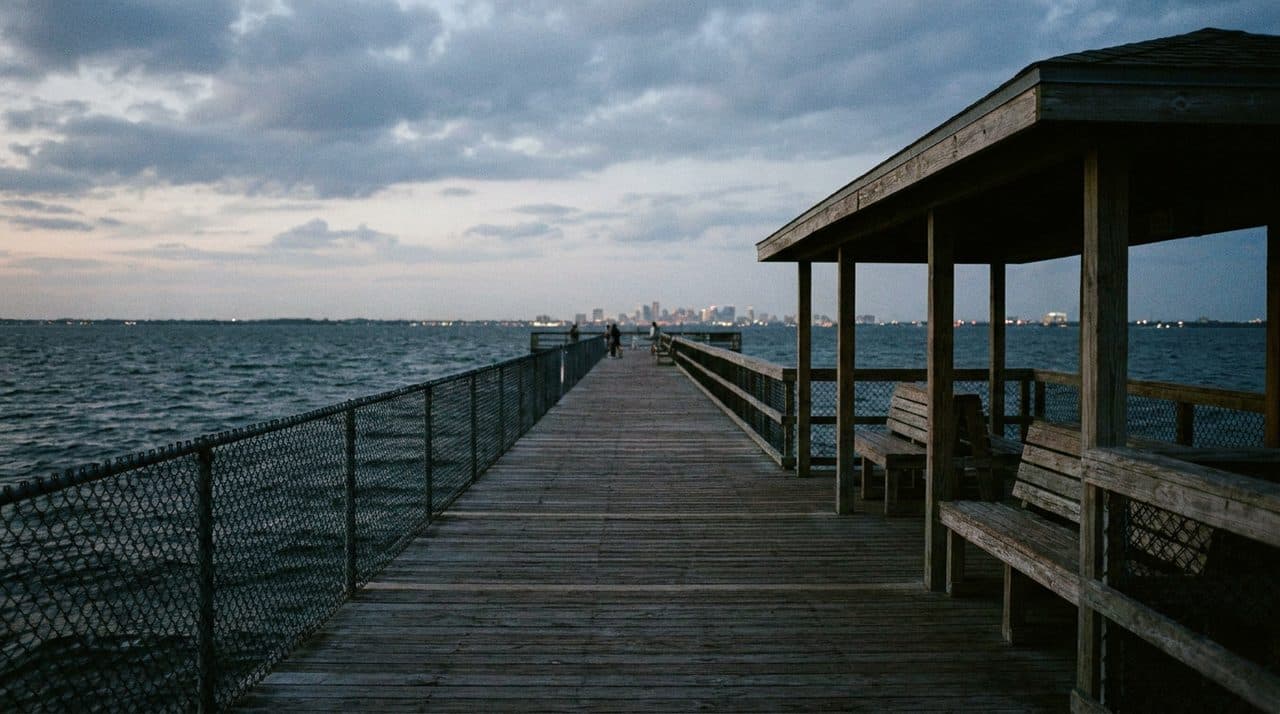 The Pier-End Observatory Where Amateurs Track Magnetic Anomalies - cover image