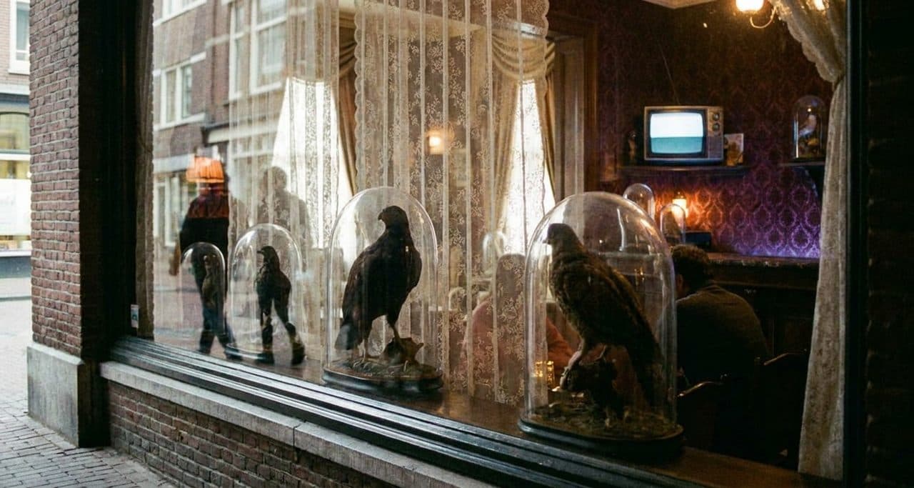 The Taxidermy Bar Where Mariners vs Orioles Plays on Mute - scene