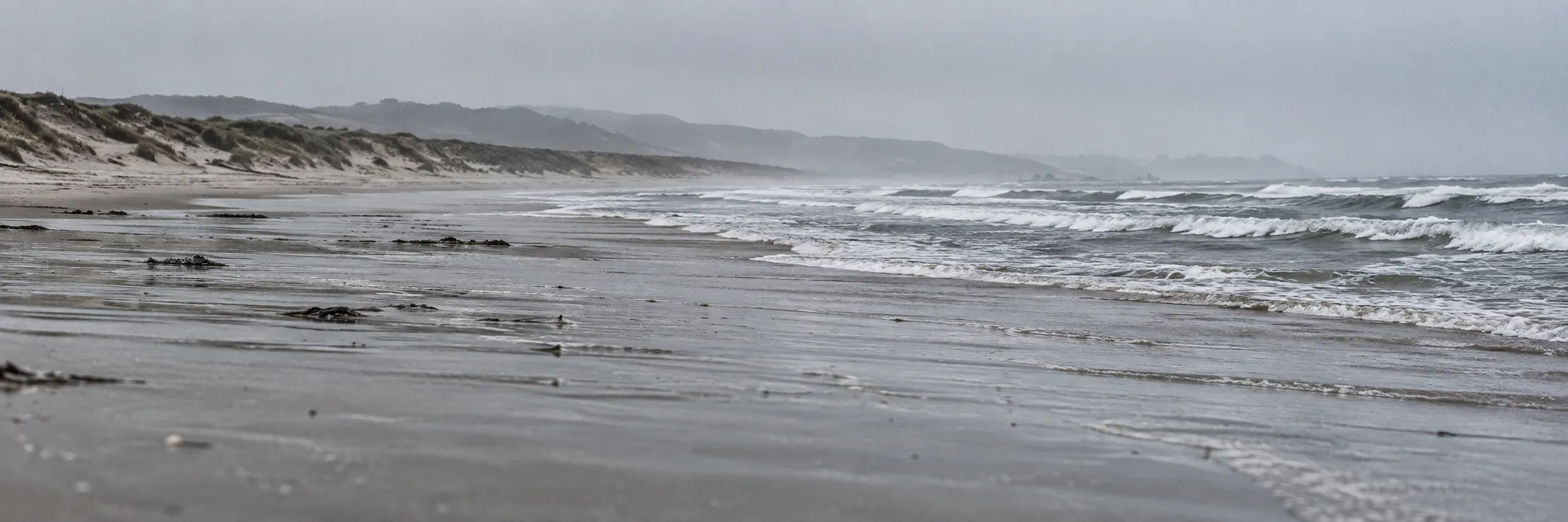 A wide empty beach with low surf and dunes under grey light
