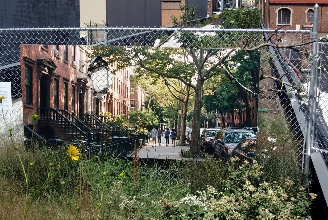 Tree-lined residential street in a New York City neighborhood