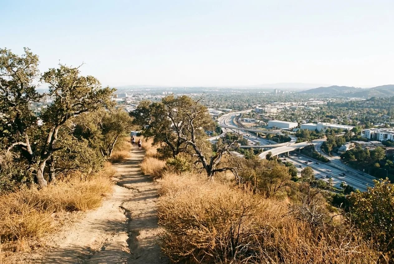 A wooded canyon trail with dry brush and oak trees under bright sky in Los Angeles
