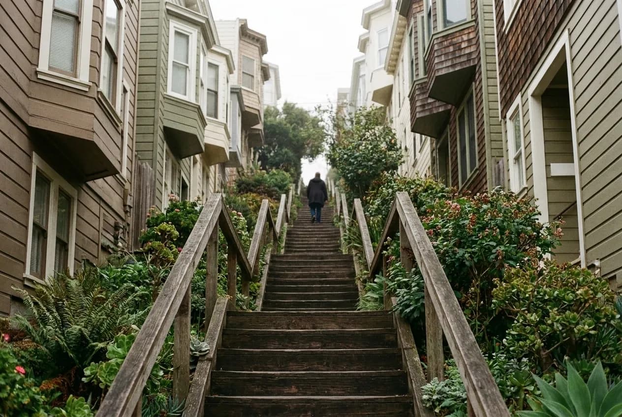 A narrow wooden stairway climbing a steep hillside between dense garden planting, timber handrails and clapboard houses rising on either side