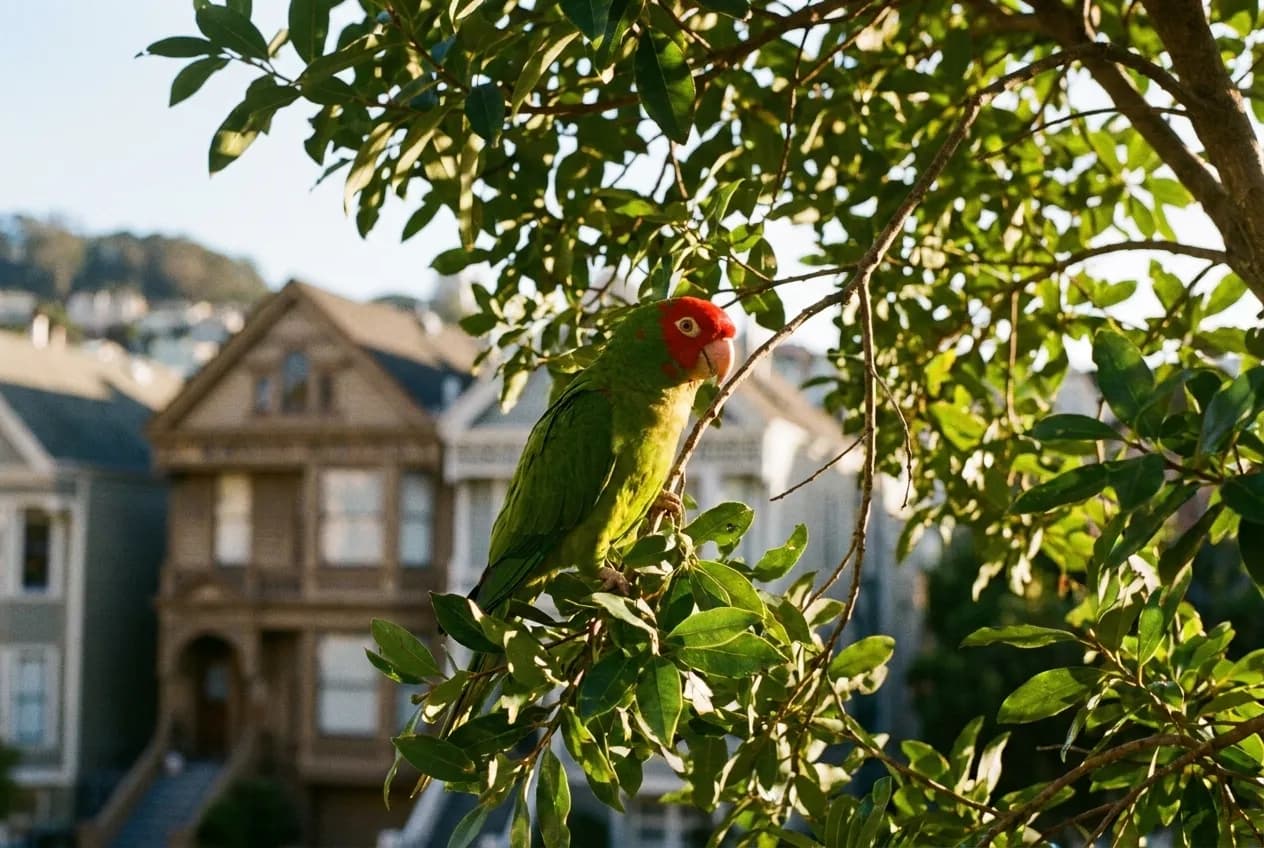 A bright green parrot with a red head perched among leaves, photographed close with the background thrown out of focus