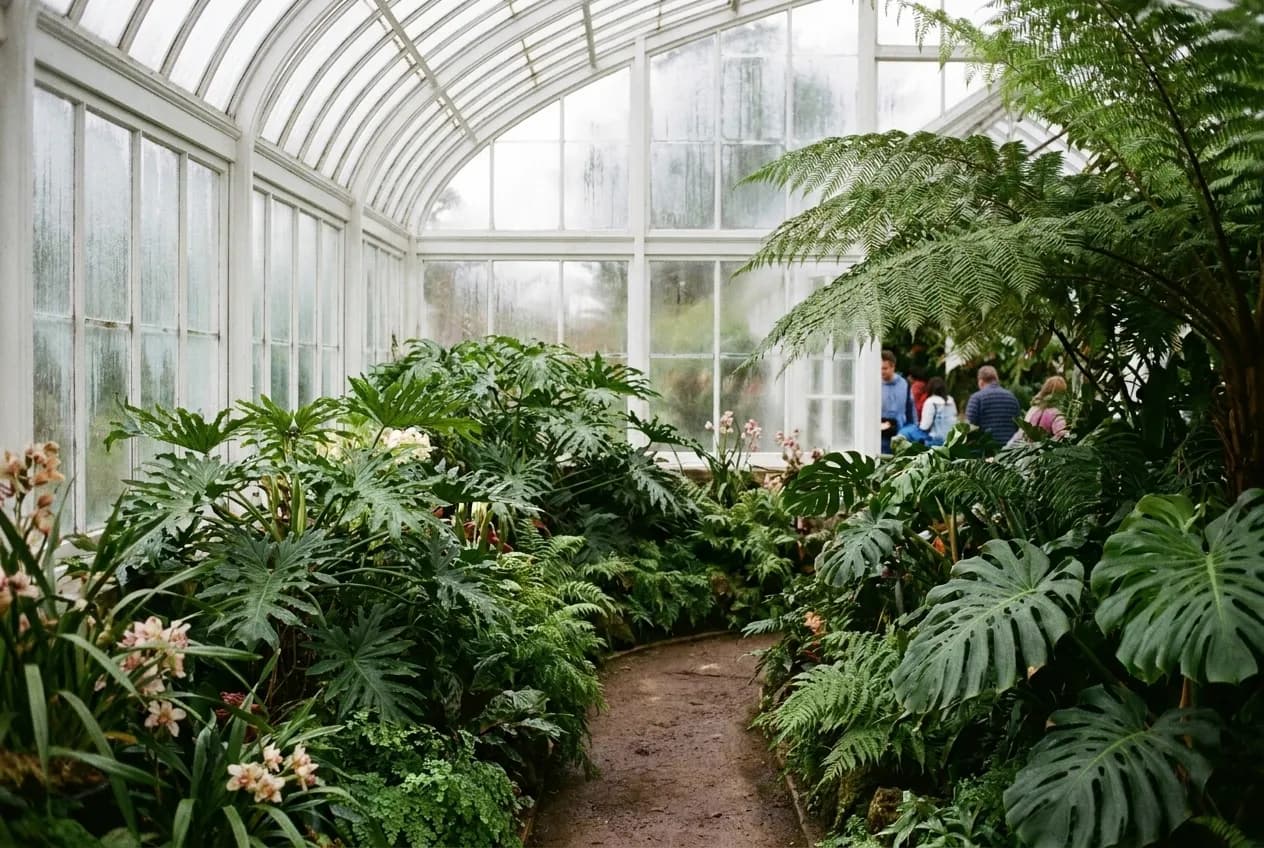 The interior of a white-framed glasshouse dense with tropical planting, condensation on the panes and a narrow path running between the beds