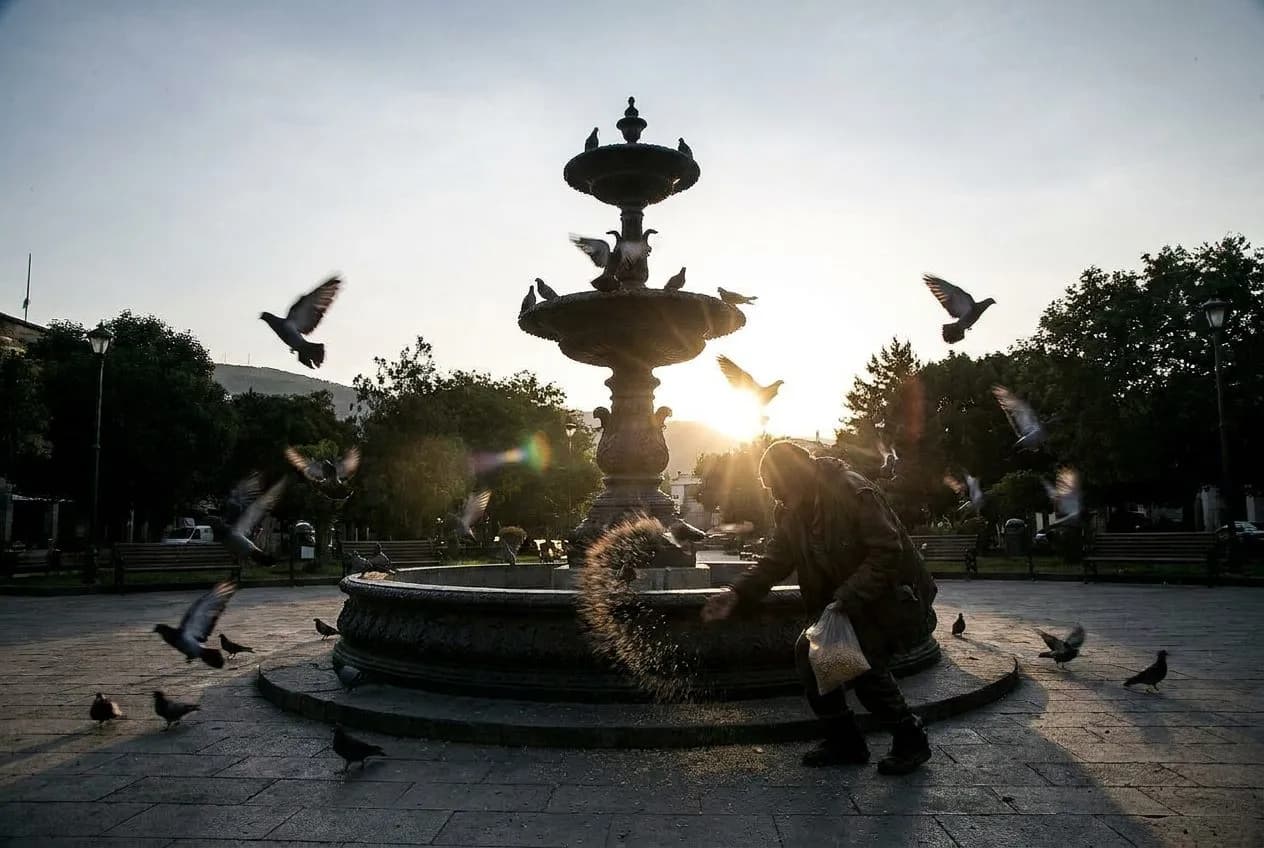 Tompkins Square Park Temperance Fountain Pigeon Feeding Ritual and Morning Chess Table Opening: A Fresh Field Note