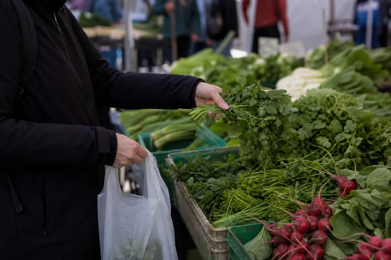 Editorial detail for Travers Park Greenmarket Morning: A Jackson Heights Picnic Errand Run