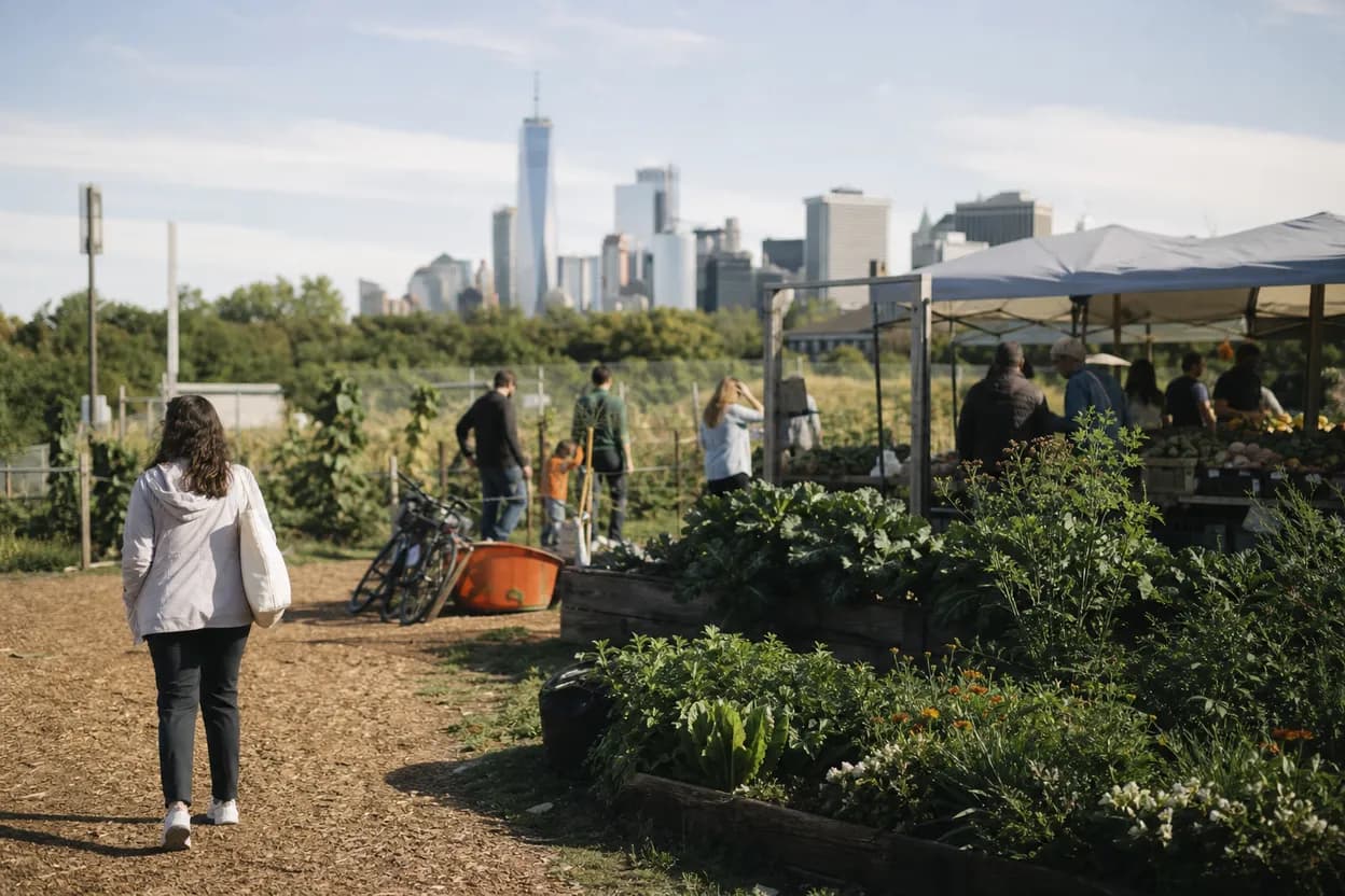 NYC experience scene for Travers Park Greenmarket Morning: A Jackson Heights Picnic Errand Run