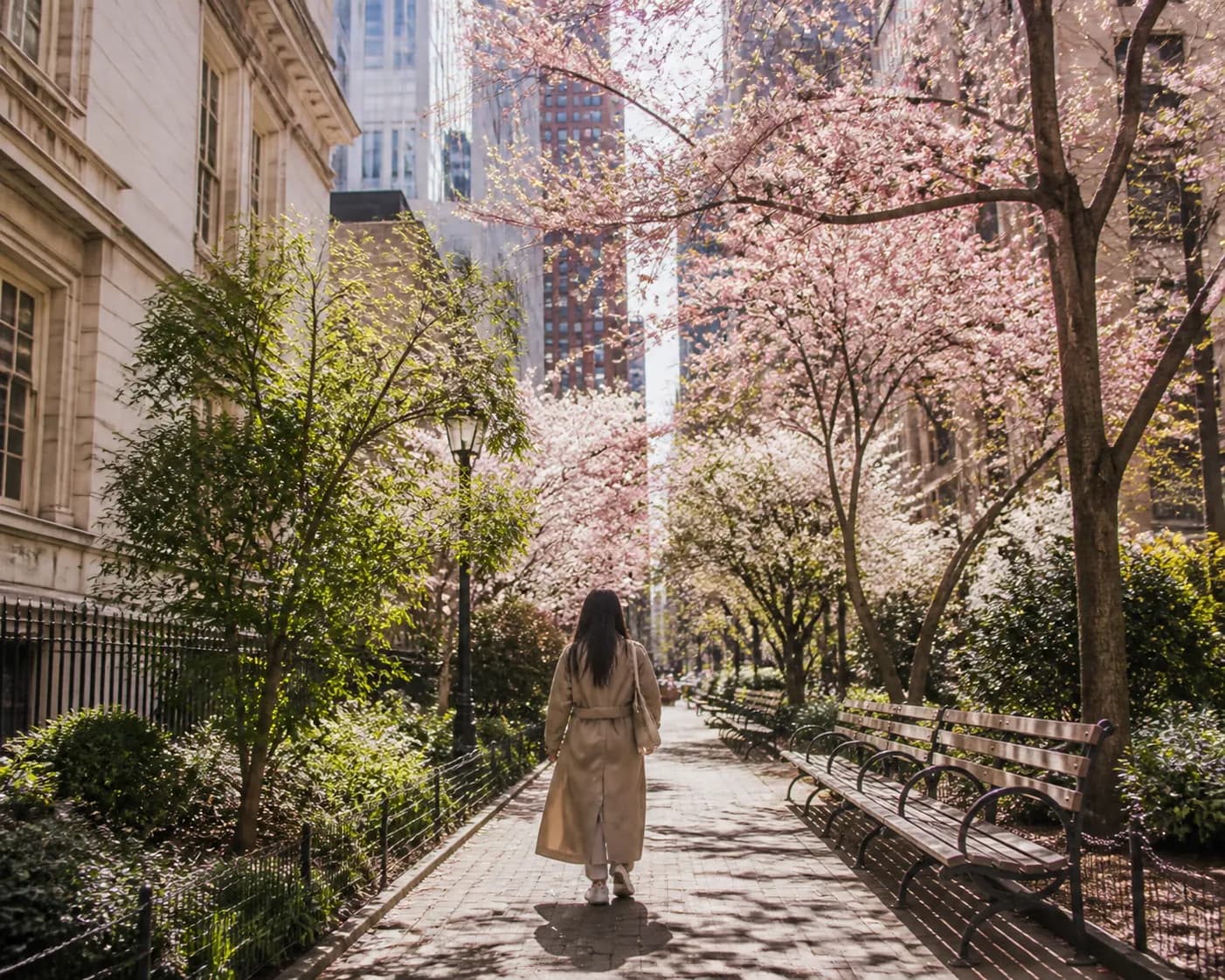 Cover image for Movie Theater: NYC Weekday Cherry-Blossom Route Designed To Avoid Crowds in NYC.