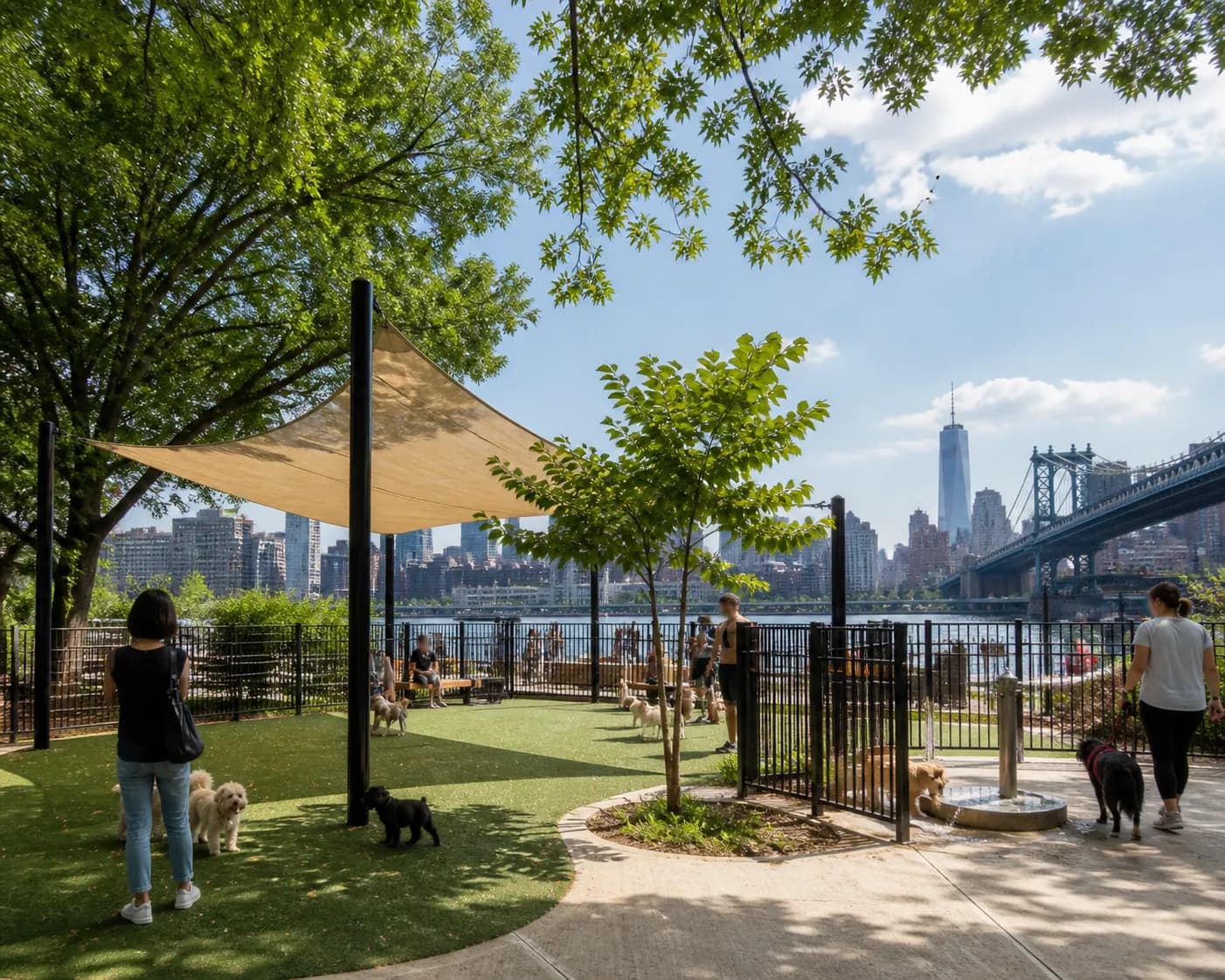 Local NYC scene for Weather Heat Wave: NYC Dog Runs With Shade, Water And Separate Small-Dog Areas.
