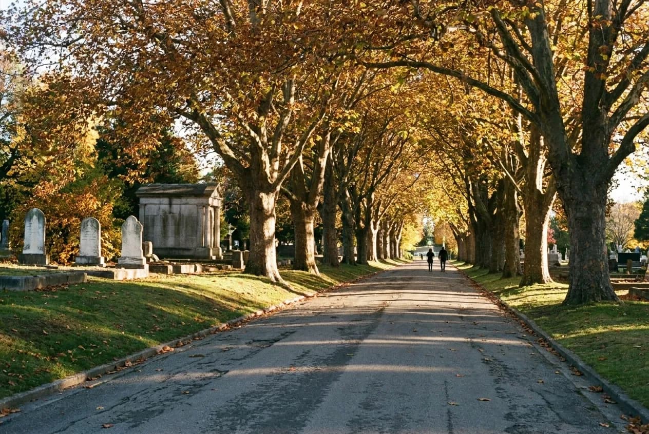 A wide paved path through a Brooklyn cemetery park in late autumn, plane trees arching overhead with a mausoleum on a grassy rise