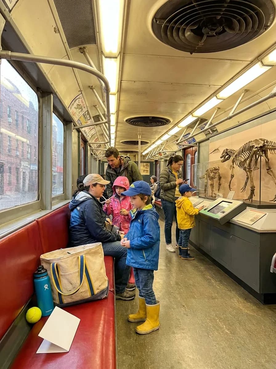 A bright Queens local-life scene connected to Danube Woolly Mammoth Bones Museum Day Near US Open.