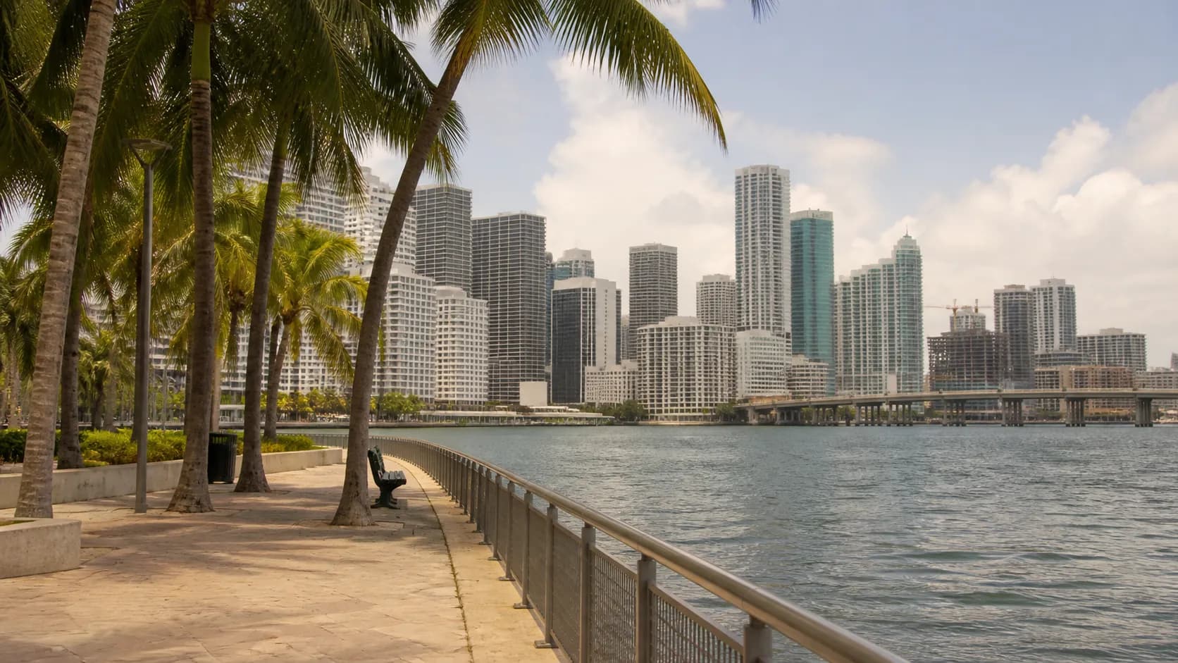 Realistic city scene for tempo vs wings: A Different Downtown Miami Plan in Miami