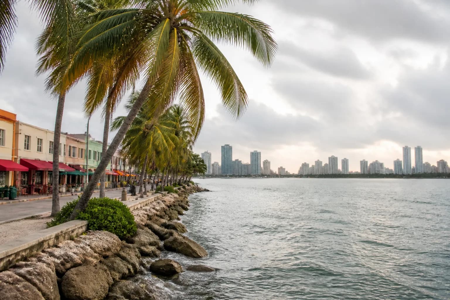 Realistic editorial Miami local-life photograph