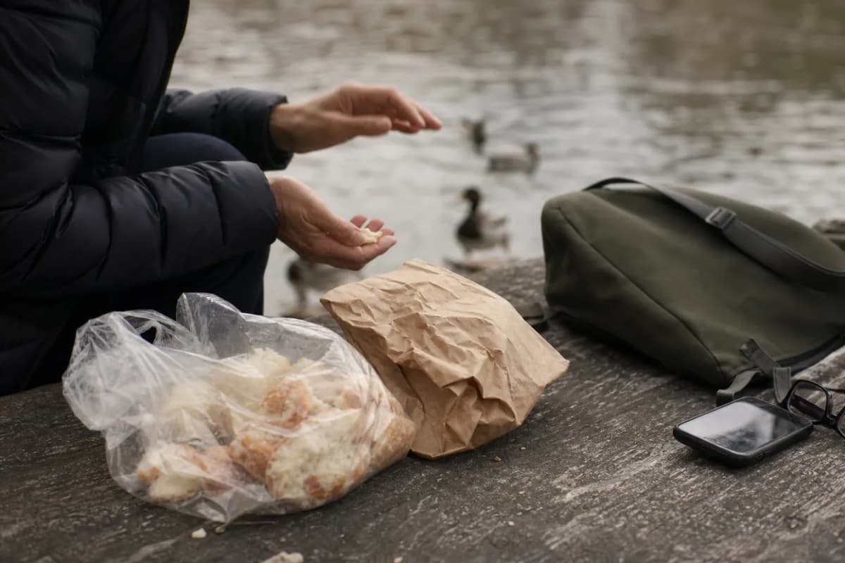 Editorial detail for Van Cortlandt Lake Walk: A Free Bronx Morning Before the Heat