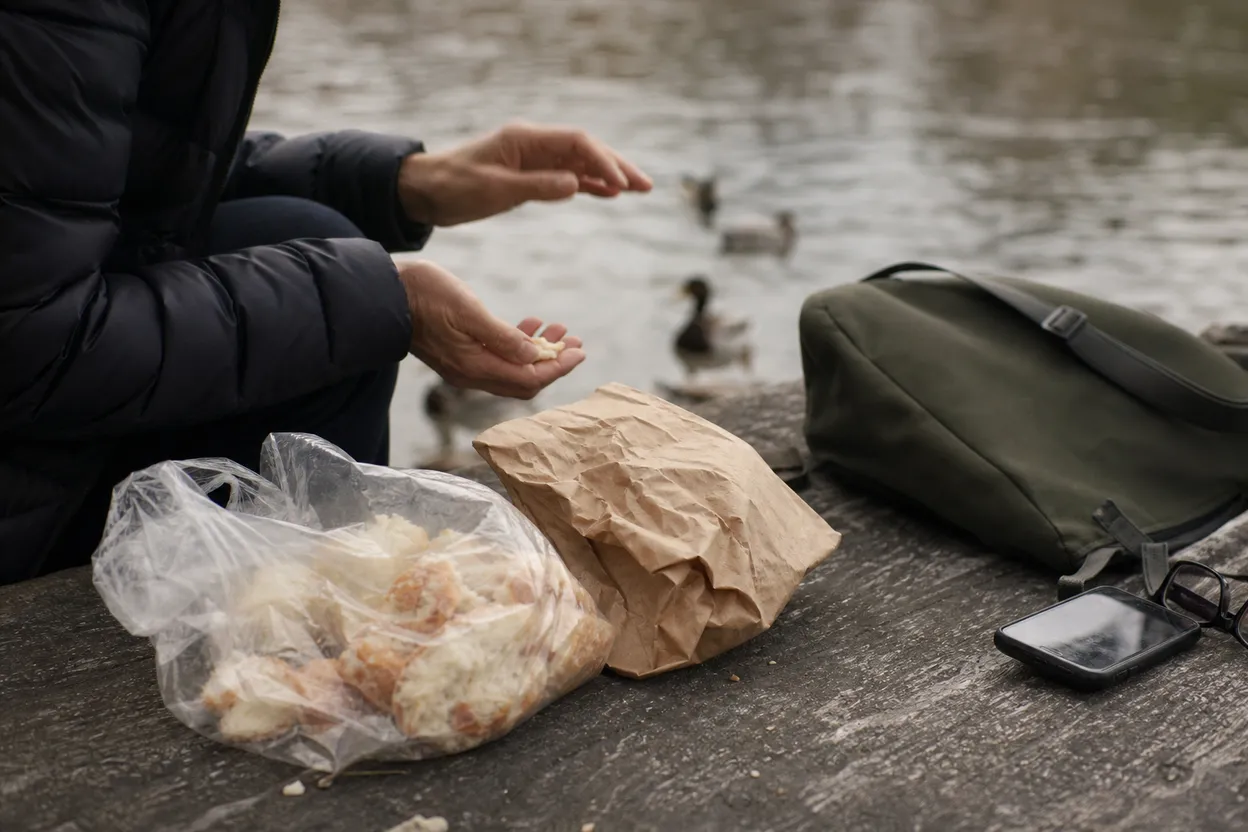 Editorial detail for Van Cortlandt Lake Walk: A Free Bronx Morning Before the Heat