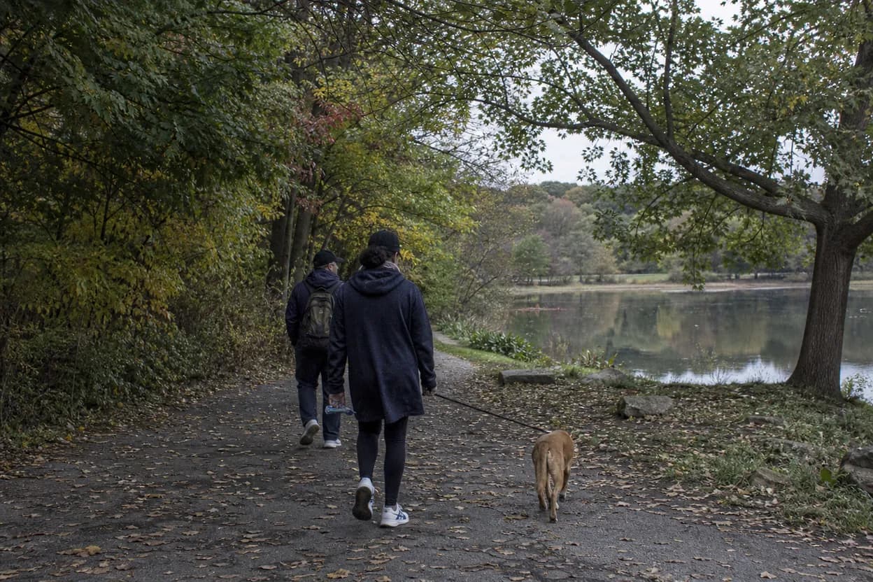 NYC experience scene for Van Cortlandt Lake Walk: A Free Bronx Morning Before the Heat