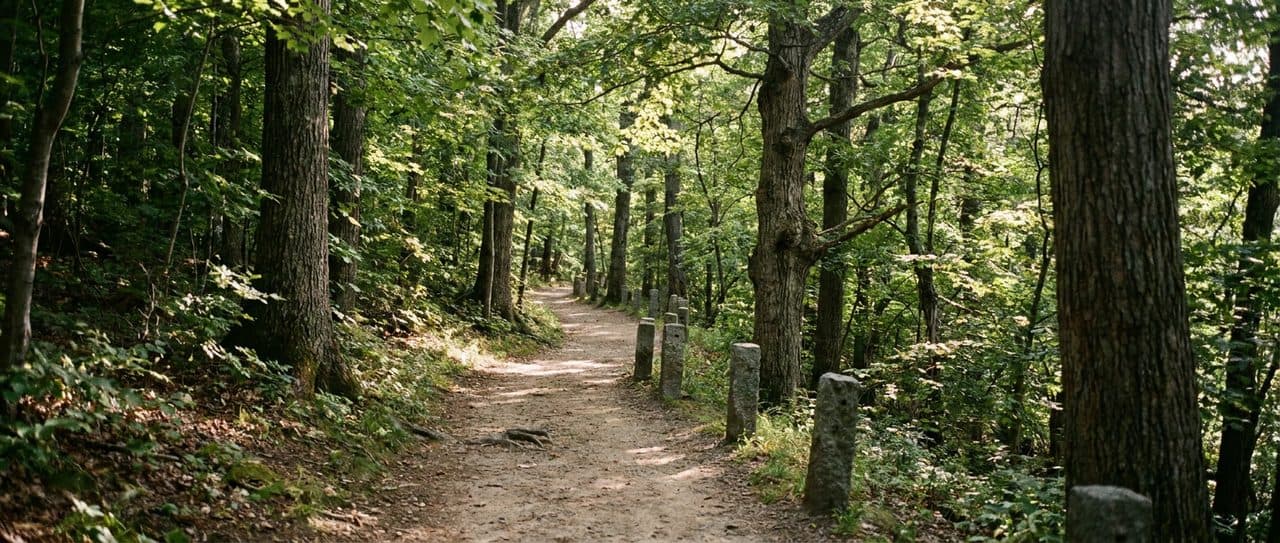 The Old Croton Aqueduct Trail Through Van Cortlandt Park Follows Water That Stopped Flowing in 1955 - cover image