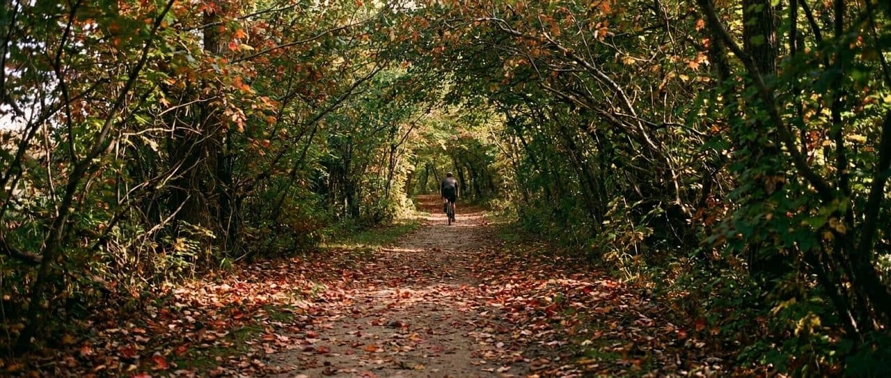The Old Croton Aqueduct Trail Through Van Cortlandt Park Follows Water That Stopped Flowing in 1955 - scene