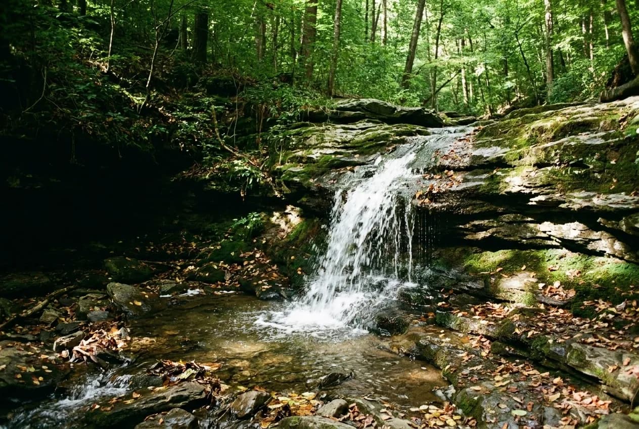 Seasonal waterfall in a forested ravine along the Palisades Interstate Park trail system
