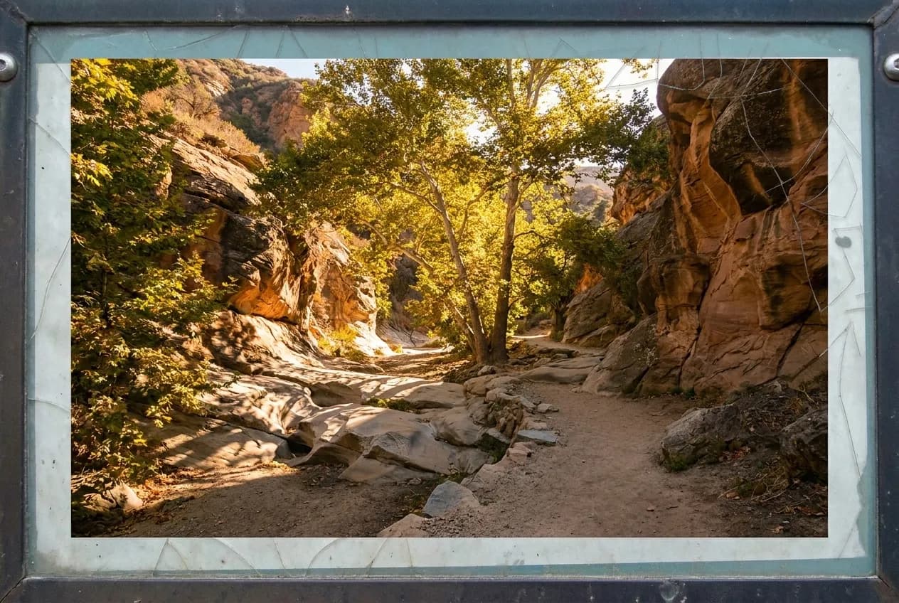 Shaded canyon trail in the San Gabriel Mountains during dry season with rock formations and sycamore trees
