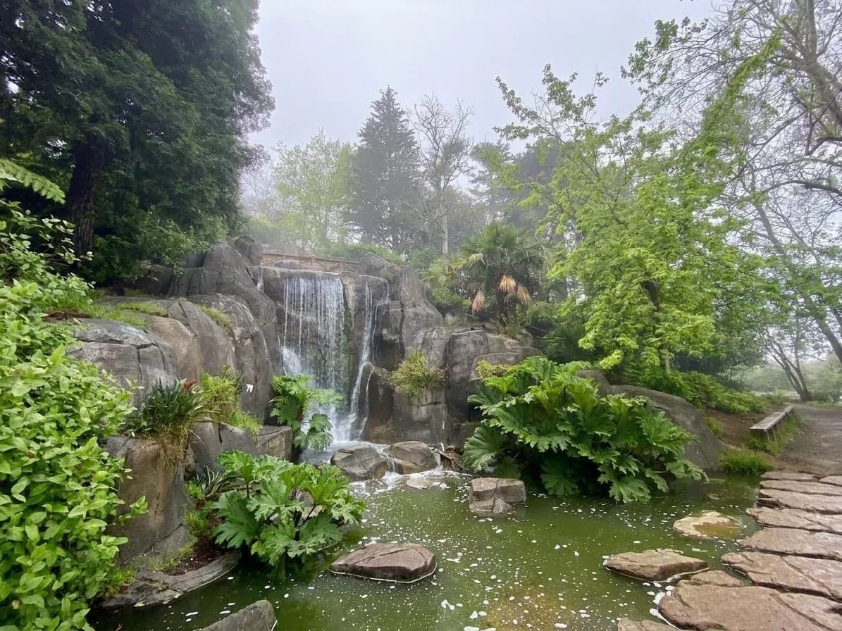 Walking path and hillside views around Strawberry Hill in Golden Gate Park