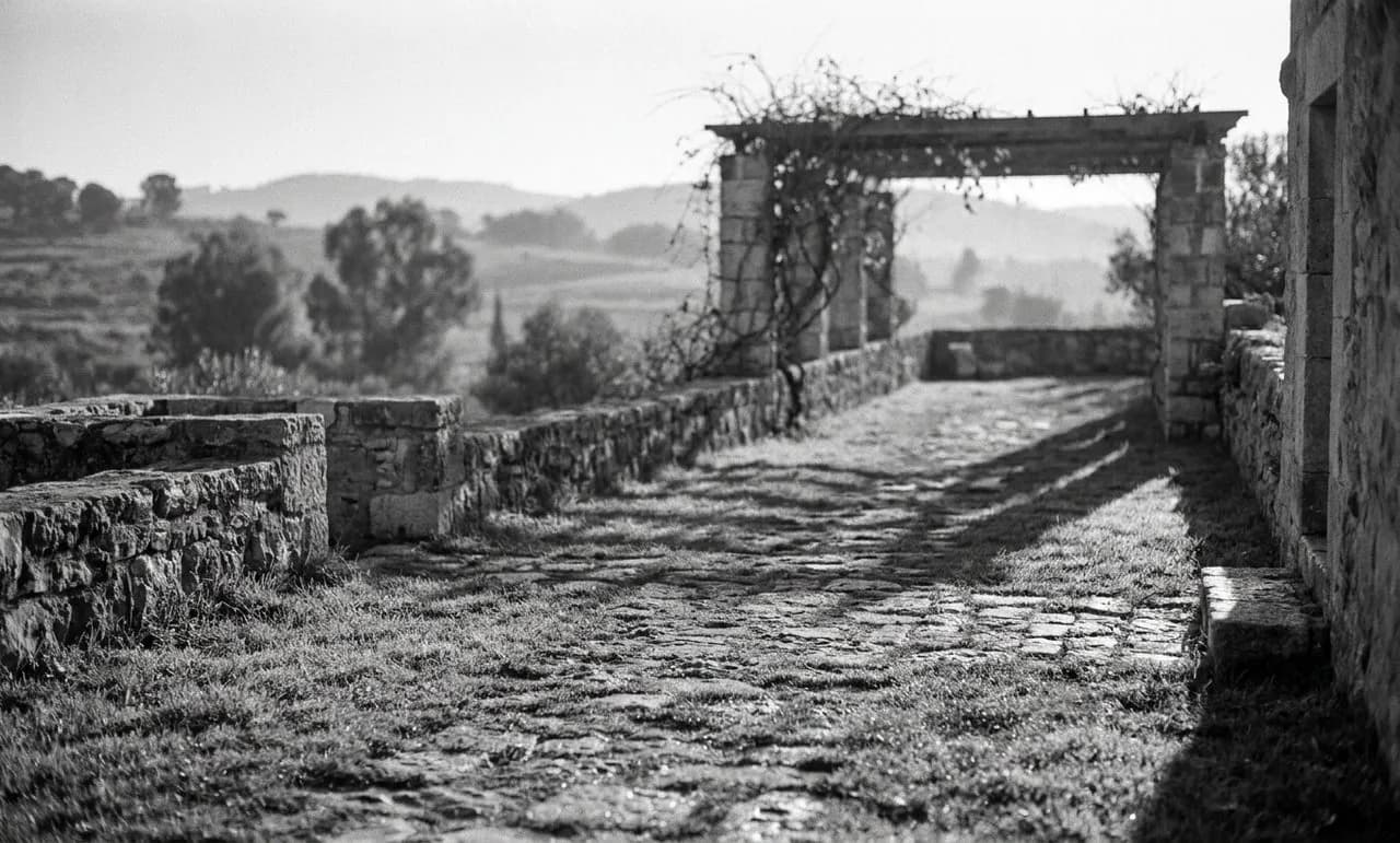 Wave Hill Pergola Overlook Sunrise Garden Opening and Palisades View Window: A Fresh Field Note